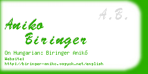 aniko biringer business card